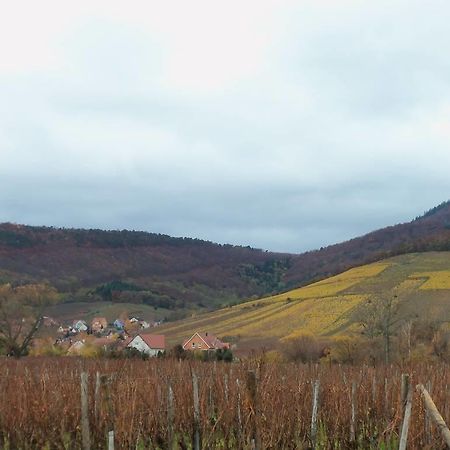 Apartment Route Du Vin Centre Alsace Orschwiller Kamer foto