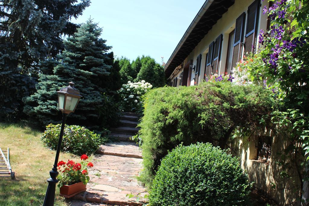 Apartment Route Du Vin Centre Alsace Orschwiller Kamer foto