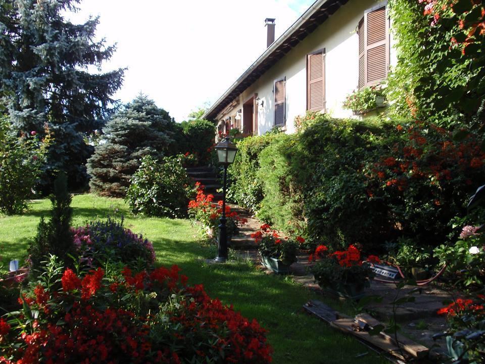 Apartment Route Du Vin Centre Alsace Orschwiller Kamer foto